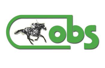 Ocala Breeders’ Sales Company Buys Equestrian Neighbor