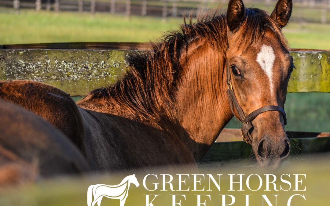 Green Horsekeeping Guide
