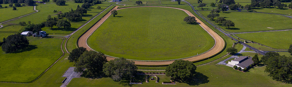 A large horse farm with track.