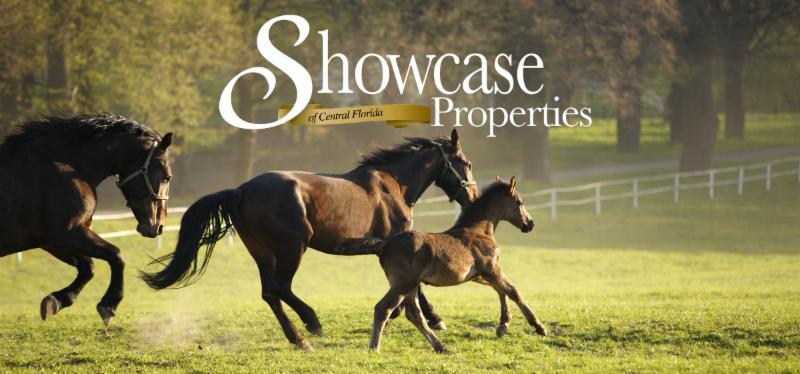 April Newsletter | Ocala Americana: Rockwell and Green Horse Keeping