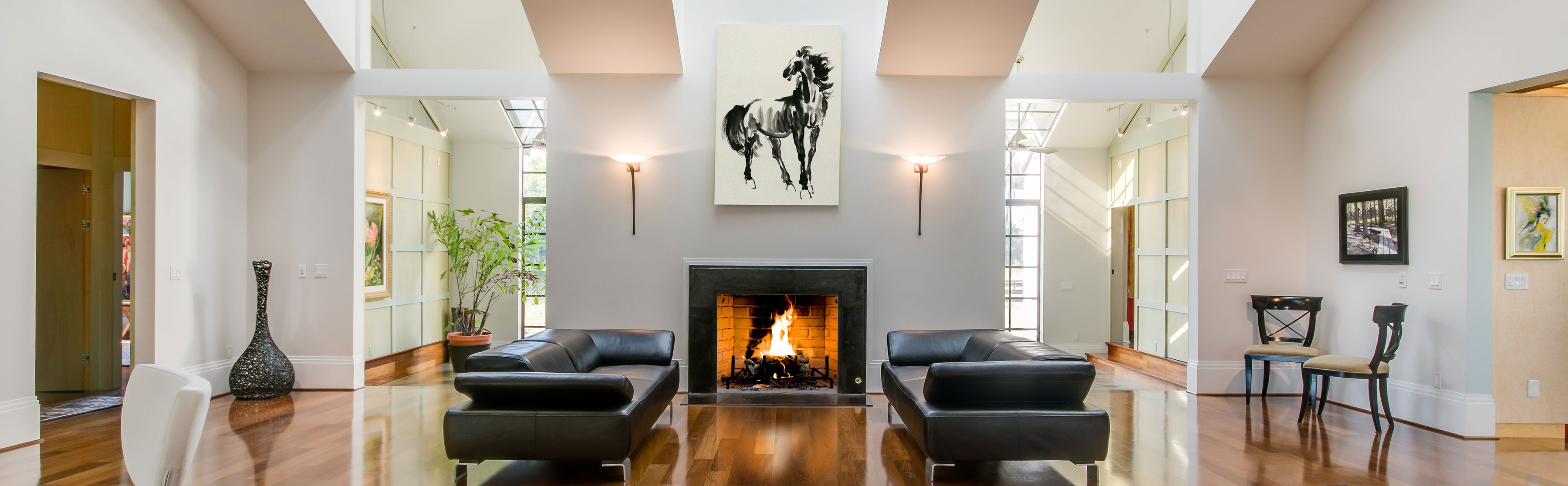 moonshadow - Showcase Ocala