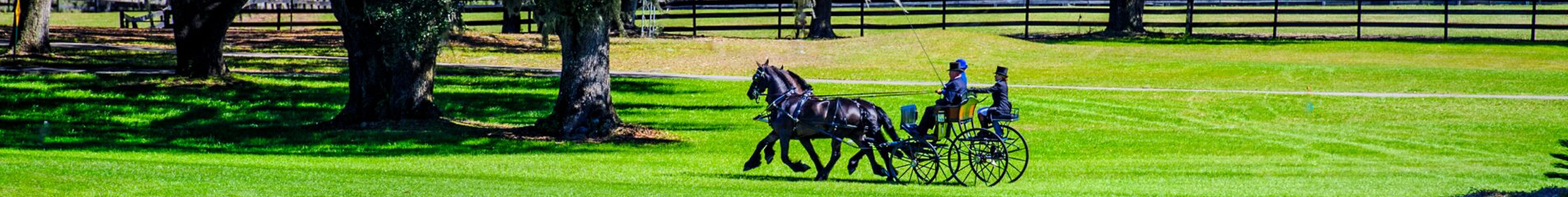 Three people driving a team of horses across a park.