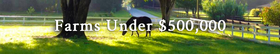 Click here to view Farms Under $500,000 listings.