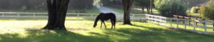 Click here to view Farms Under $500,000 listings.