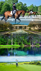 Ocala has enough to keep anyone busy.