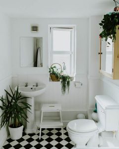 A clean bathroom with plants.