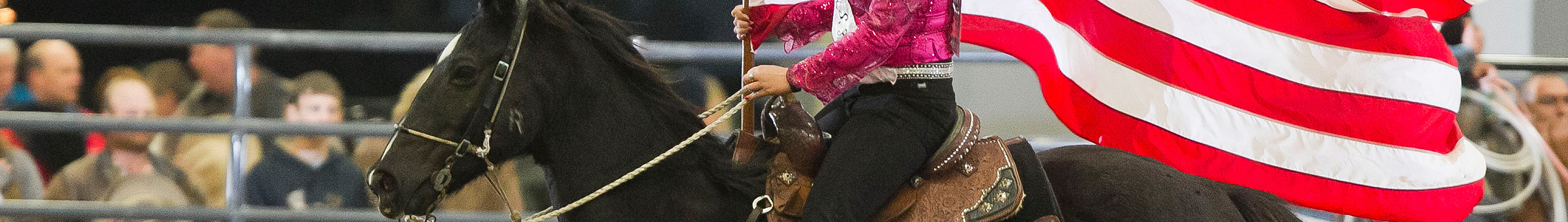 Ocala's Rodeo has grown into a popular local event.