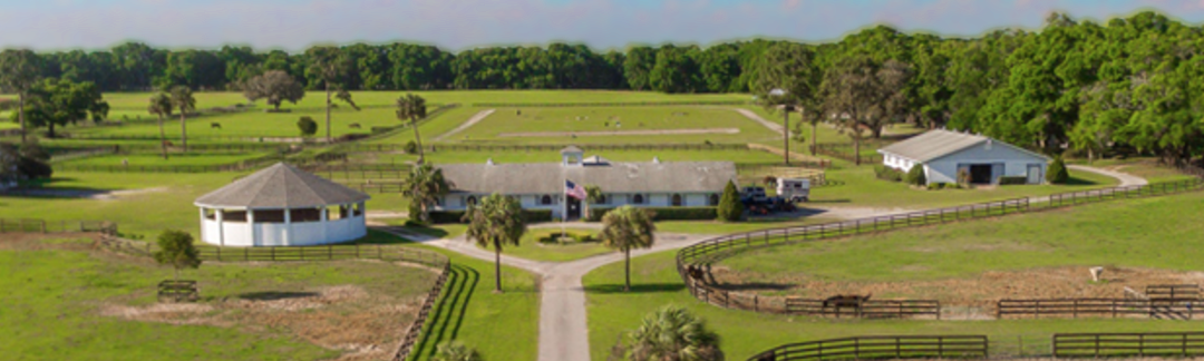 When Stars Collide: A Trio of Winter Equine Clinics