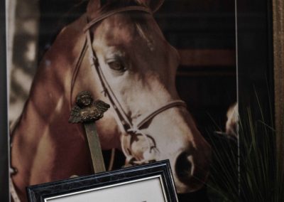 Horse Memorabilia at Bo-Bett Farm