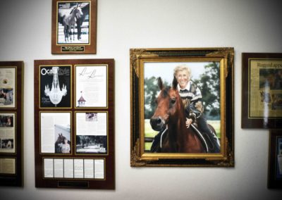 Horse Memorabilia at Bo-Bett Farm