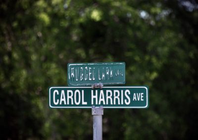 Street signs that say Rugged Lark Lane and Carol Harris Ave