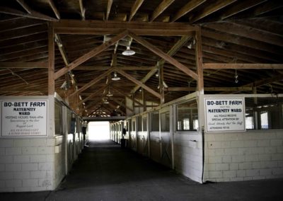 Bo Bett Farm Maternity Ward