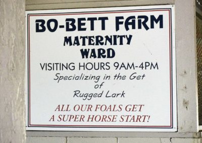 Bo Bettt Farm Maternity Ward