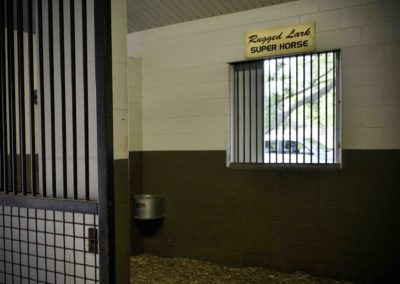 Stables at Bo Bett Farm - Rugged Lark Super Horse