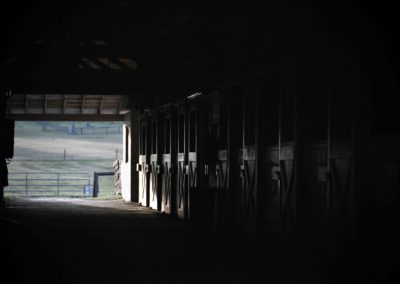 Stables at Bo-Bett Farm