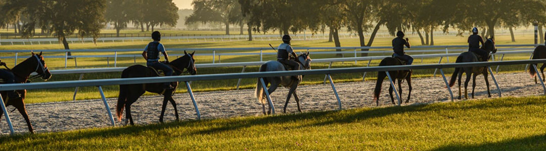 Saddle Fit and Saddle Length | How long is too long?