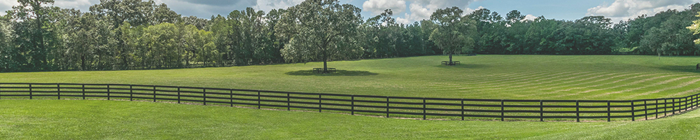 Mini-farms are a selling like hot-cakes.