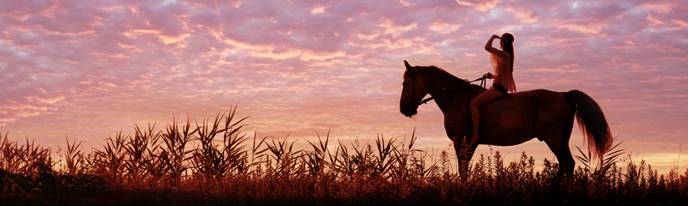 Marion County, Florida | Past and Present