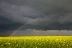 A summer storm with a rainbow.