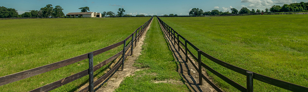 The gates of Turning Hawk II