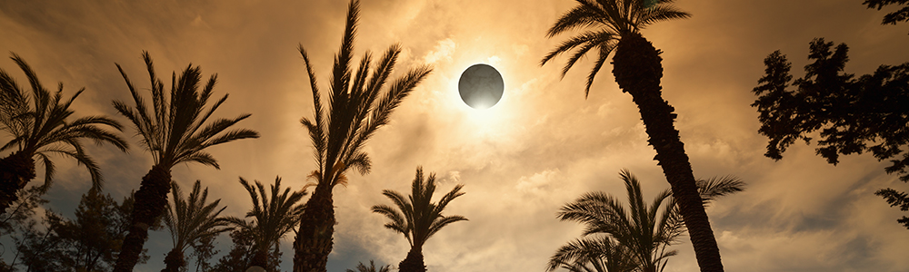 The upcoming eclipse could have an interesting effect on your animals.