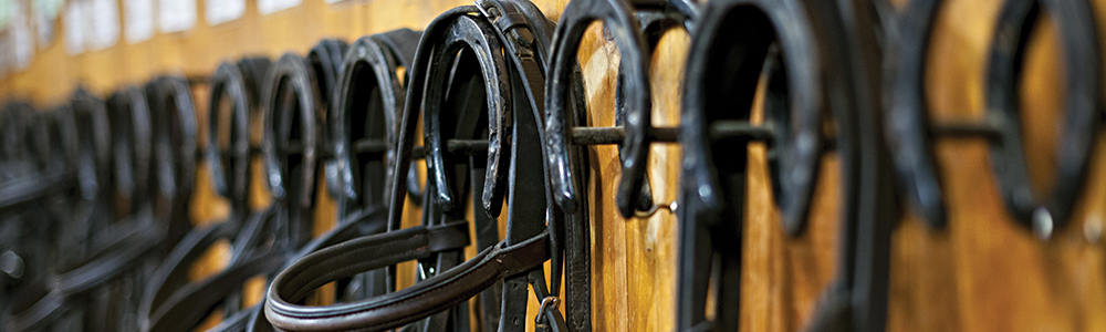 Various harnesses on a rack with horseshoe decor.