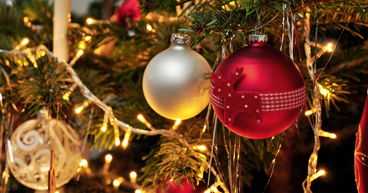 An Ocala Tradition The 34th Light Up Ocala Showcase Ocala