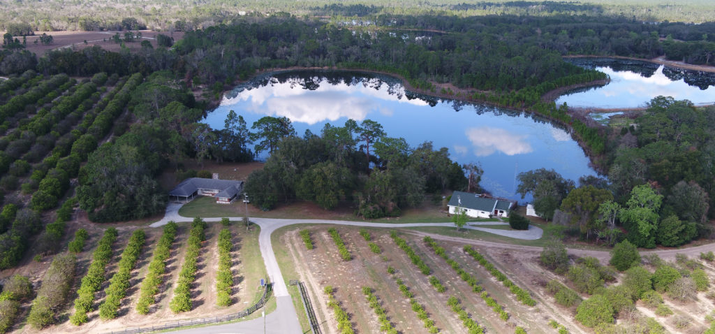 homes - Showcase Ocala