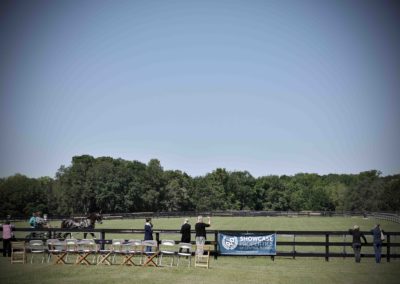 A horse and buggy exhibition