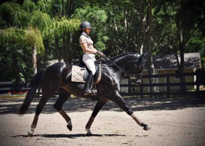 A woman on a horse