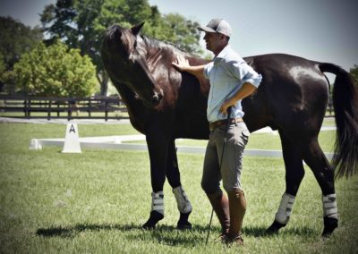 A man standing by a horse as the horse inspects him.