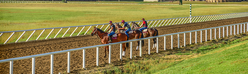 Thoroughbred Economy Notably Strong in Florida