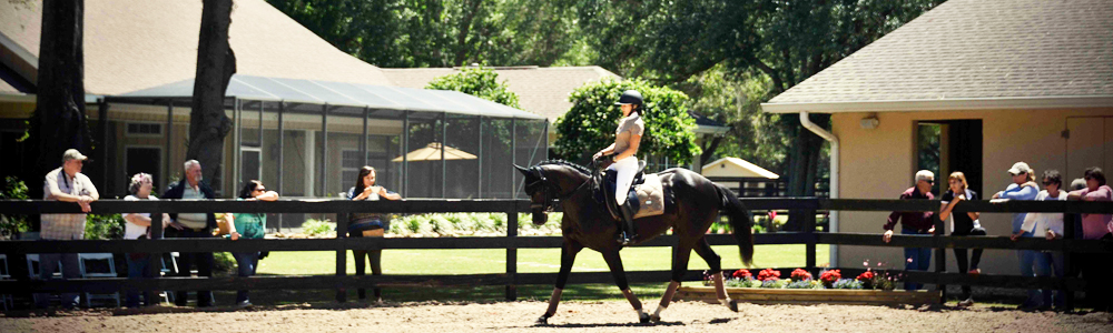 Ocala Downs Block Party