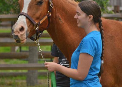 Visitors interacting with a horse at the Vintage Farm