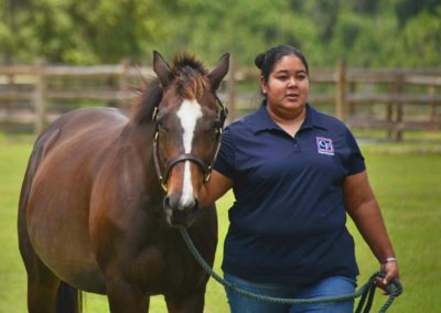 Woman walking with horse