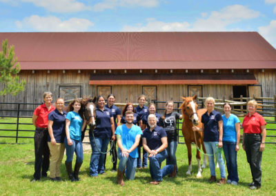 People with a horse at Vintage Farm