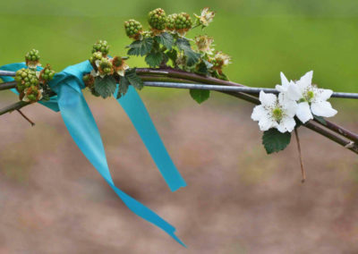 close up of flowers on a tree branch