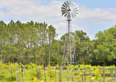 Windmill on Vintage Farm