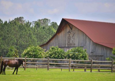 A beautiful view of the barn at the vintage farm with horse standing nearby.