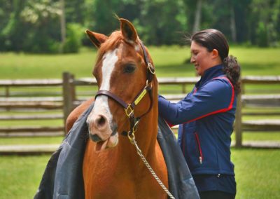 A woman and horse at the Vintage Farm