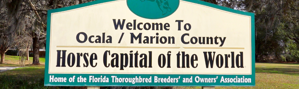 Love Where You Live | Coastal Connector meets Objectors!