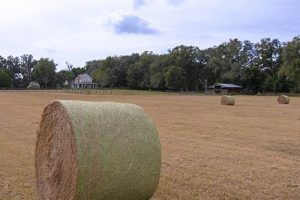 A scenic view with bales of hay on an open field.