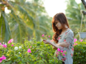 A girl picking roses