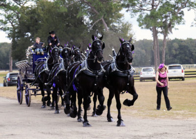 Grandview-Invitational-2019-Draft-Horse-Show-Showcase-Properties