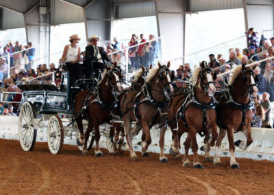 Grandview-Invitational-2019-Draft-Horse-Show-Showcase-Properties