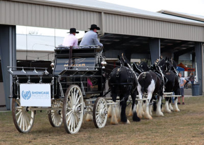 Grandview-Invitational-2019-Draft-Horse-Show-Showcase-Properties