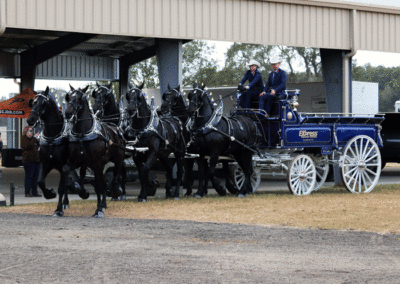 Grandview-Invitational-2019-Draft-Horse-Show-Showcase-Properties