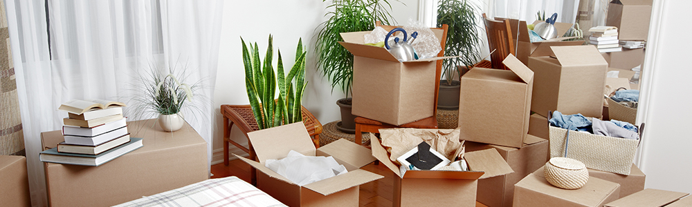 Moving? | Our Nine Tips to Save Money on your Next Move