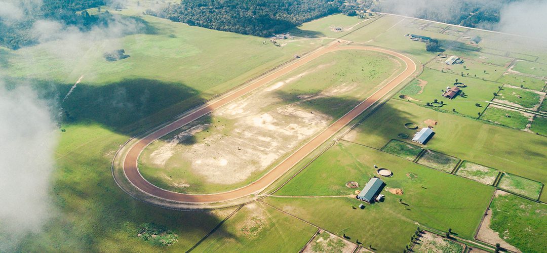 The Florida Mile | A Pristine Horse Farm in Williston, Florida