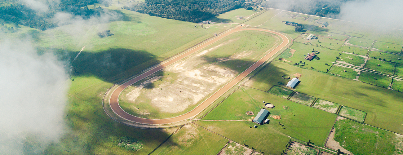 The Florida Mile A Pristine Horse Farm in Williston, Florida
